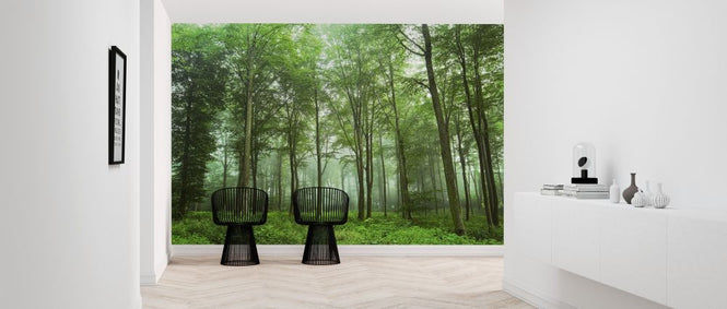 PHOTOWALL / Forest View (e317598)