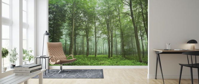 PHOTOWALL / Forest View (e317598)