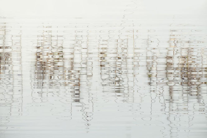 PHOTOWALL / Water Light and Reed (e318493)
