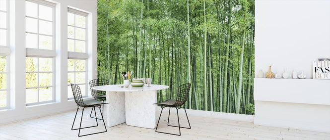 PHOTOWALL / Shinachiku (e318898)