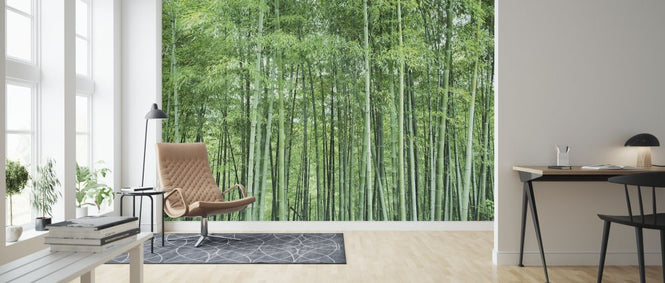 PHOTOWALL / Shinachiku (e318898)