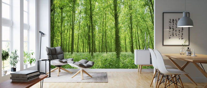 PHOTOWALL / Into the Green (e318899)