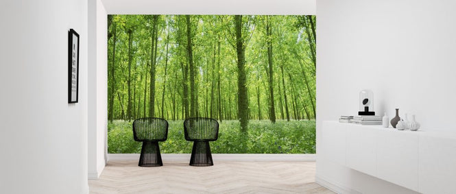 PHOTOWALL / Into the Green (e318899)