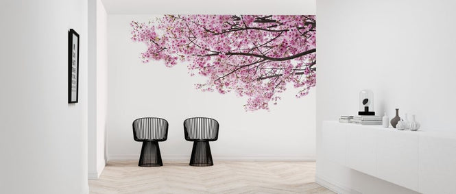 PHOTOWALL / Pink Cherry Blossoms (e317860)