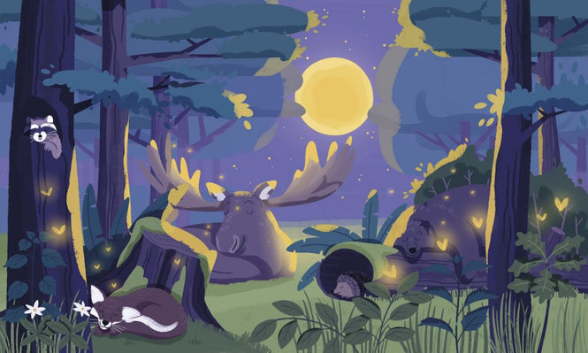PHOTOWALL / Sleepy Forest (e319260)
