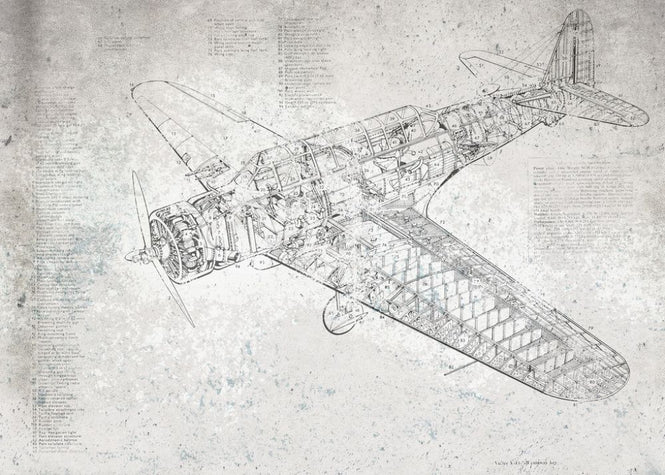 PHOTOWALL / Retro Airplane (e319213)