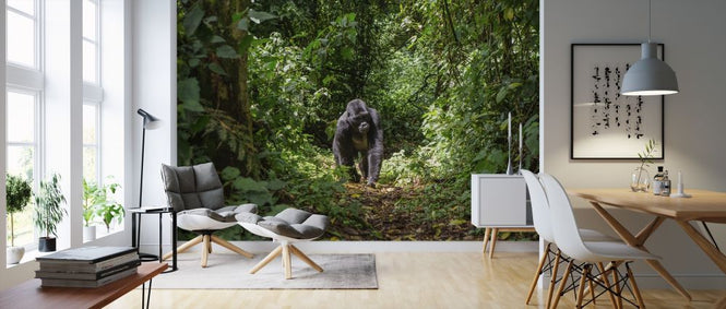 PHOTOWALL / Male Mountain Gorilla (e317874)