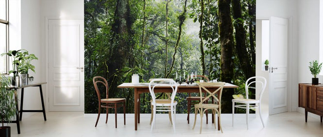PHOTOWALL / Tropical Forest (e317875)