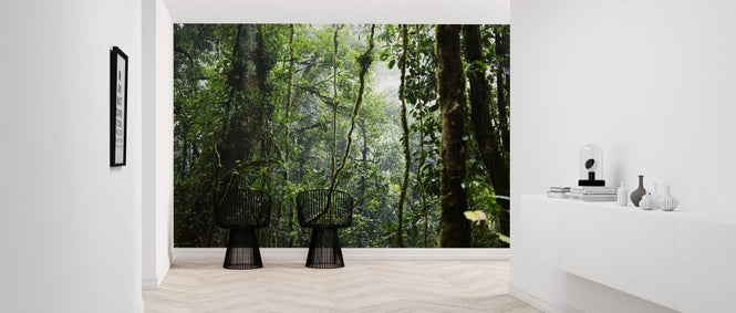 PHOTOWALL / Tropical Forest (e317875)