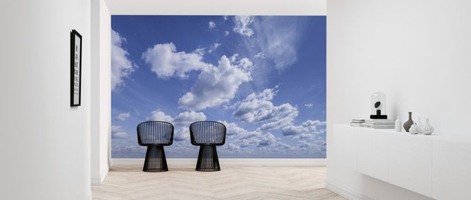 PHOTOWALL / Beautiful Summer Sky (e317924)