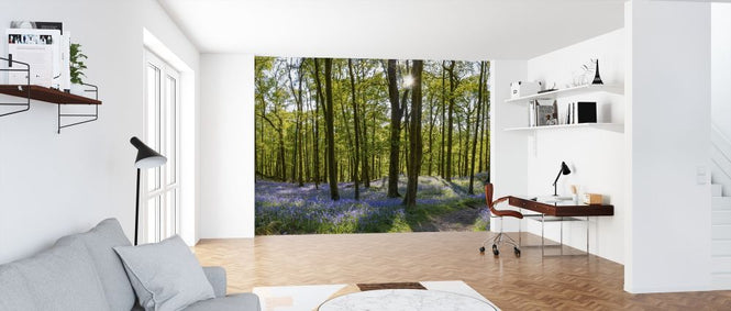 PHOTOWALL / Bluebell Carpets on Woodland (e317934)