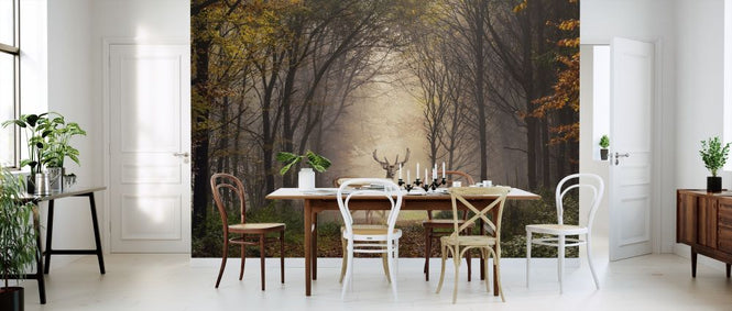 PHOTOWALL / Fallow Deer in a Forest (e317938)