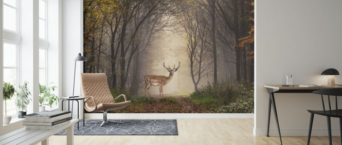 PHOTOWALL / Fallow Deer in a Forest (e317938)
