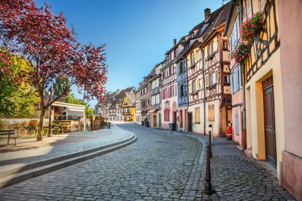 Zoom