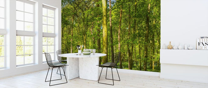 PHOTOWALL / Green Forest (e317945)