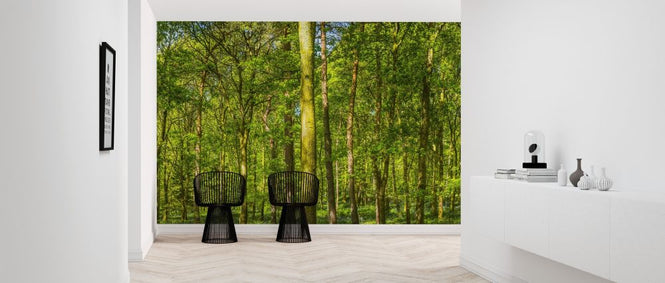 PHOTOWALL / Green Forest (e317945)