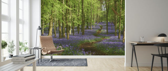 PHOTOWALL / Springtime Bluebell (e318021)