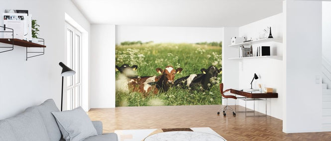 PHOTOWALL / Cows in the Field (e318095)
