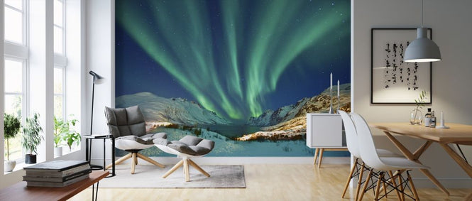 PHOTOWALL / Aurora Borealis (e318126)