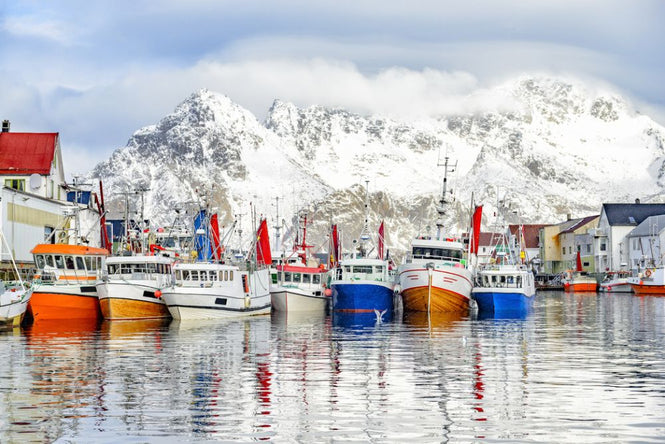 PHOTOWALL / Fishing Boats in Henningsvaer (e318131)