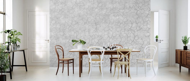 PHOTOWALL / Entirely Cracked Wall (e320286)