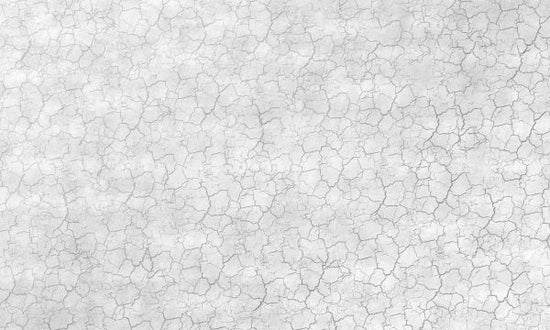 PHOTOWALL / Entirely Cracked Wall (e320286)