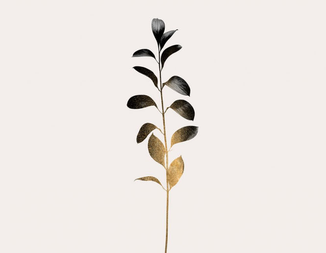 PHOTOWALL / Monochromatica  Dark Gold (e319451)