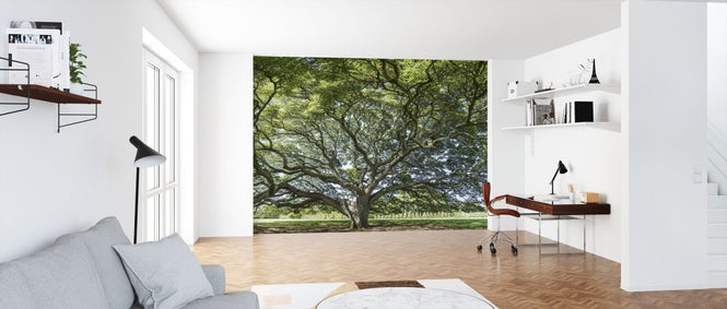 PHOTOWALL / Majestic Tree (e318191)