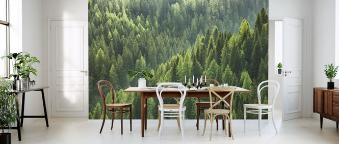 PHOTOWALL / Green Trees in Forest (e318278)