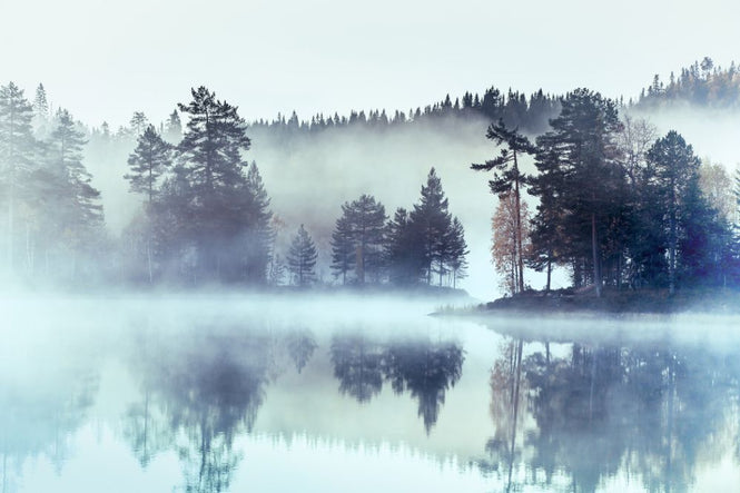 PHOTOWALL / Norwegian Mist II (e318283)