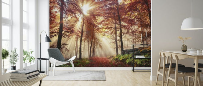 PHOTOWALL / Misty Autumn Forest (e318286)