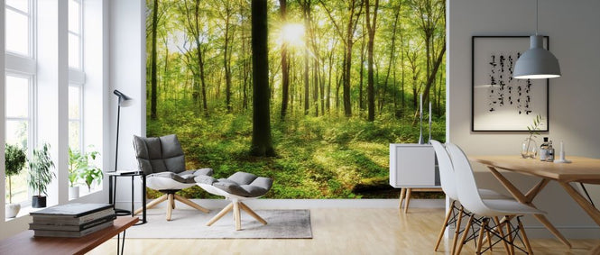 PHOTOWALL / Into the Woodland (e318291)