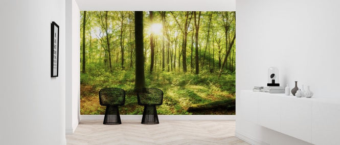 PHOTOWALL / Into the Woodland (e318291)