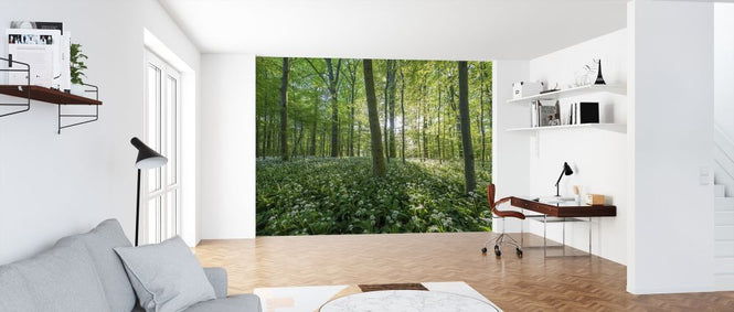 PHOTOWALL / Beechwoods (e318152)