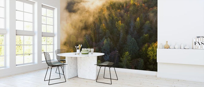 PHOTOWALL / Morning Mist in the Forest (e318398)