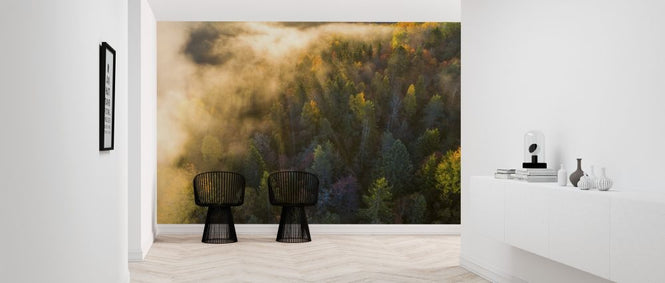 PHOTOWALL / Morning Mist in the Forest (e318398)