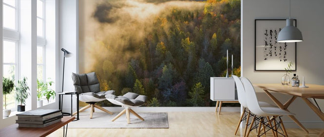 PHOTOWALL / Morning Mist in the Forest (e318398)