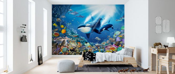 PHOTOWALL / Killer Whales (e320823)