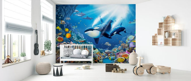 PHOTOWALL / Killer Whales (e320823)