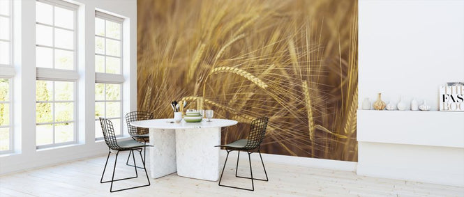 PHOTOWALL / Wheat Field (e320982)