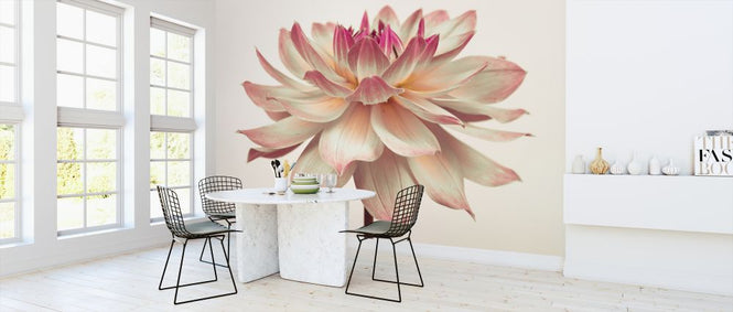 PHOTOWALL / Dahlia Flower (e320983)