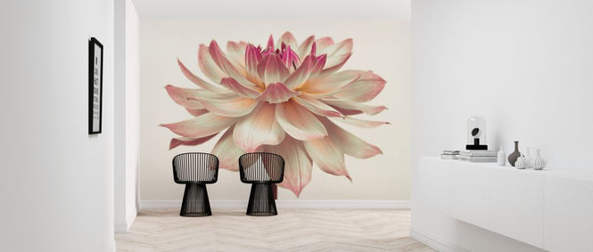 PHOTOWALL / Dahlia Flower (e320983)