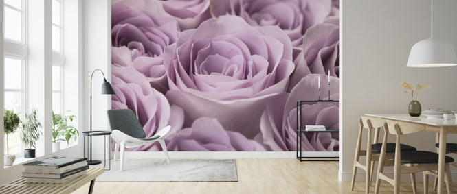 PHOTOWALL / Roses (e320985)
