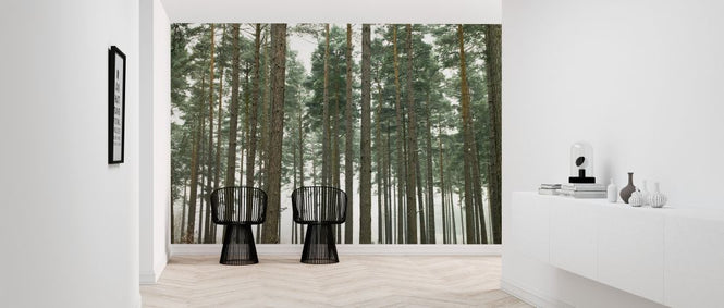 PHOTOWALL / Pine Forest (e320992)