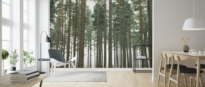 PHOTOWALL / Pine Forest (e320992)