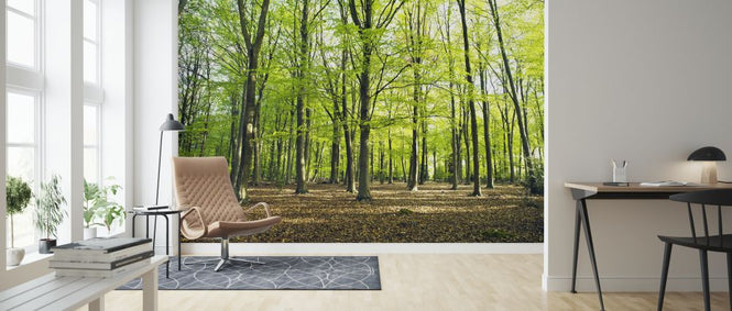 PHOTOWALL / Pleasant Forest (e320994)