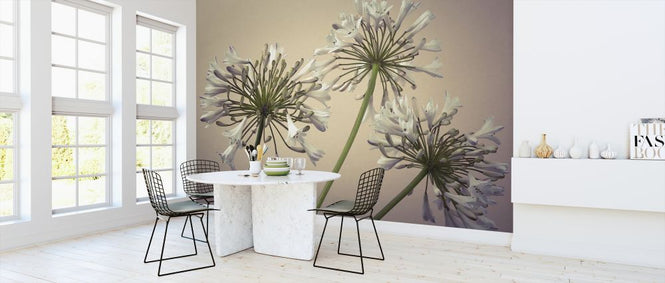 PHOTOWALL / African Lily (e321018)