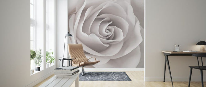 PHOTOWALL / Rose (e321033)