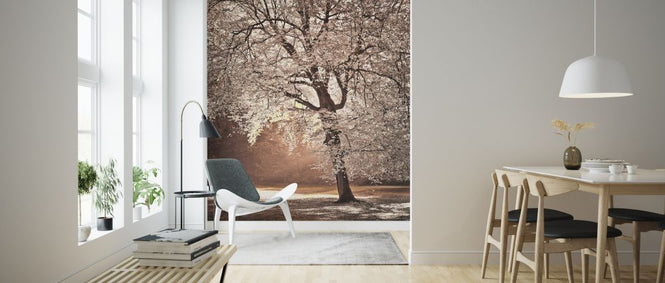 PHOTOWALL / Autumn Trees (e321036)