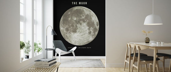 PHOTOWALL / Solar System - Moon (e320055)